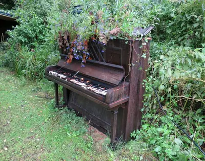 an old piano in the grass with flowers on it at Bird House - Sleep with the Owls! in Carlisle