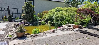 a garden with a pond with plants and a fence at Mains Street Retreat in Lockerbie