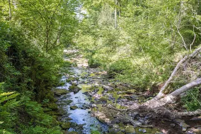 a creek in the middle of a forest at Beckside Cottage, near Carlisle romantic cottage with hot tub in Longtown