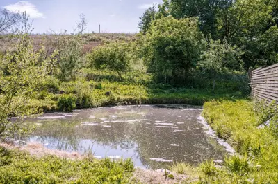 a pond in the middle of a field at The Chard, Netherby, a micro cabin in a rural setting with a hot tub in Longtown