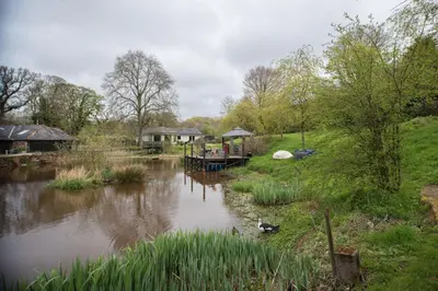 a view of a pond with a gazebo at The Chard, Netherby, a micro cabin in a rural setting with a hot tub in Longtown