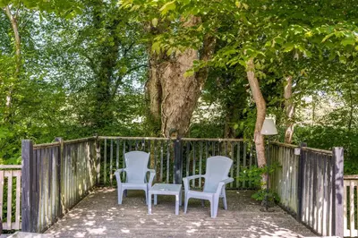 three chairs and a tree in front of a fence at The Snug, Netherby, cute shepherds hut with hot tub in a rural location in Longtown