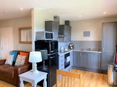 a kitchen with a black refrigerator and a couch at Birch Lodge 17 with Hot Tub in Newton Stewart