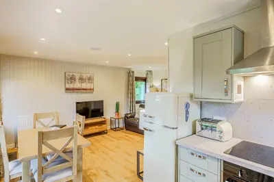 a kitchen with a refrigerator and a dining room at Birch Lodge 13 with Hot Tub in Newton Stewart