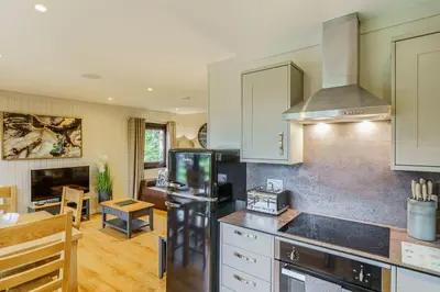 a kitchen with a black refrigerator and a living room at Birch Lodge 22 with Hot Tub in Newton Stewart