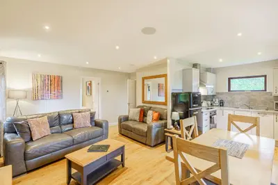 a living room with a couch and a table at Birch Lodge 23 with Hot Tub in Newton Stewart