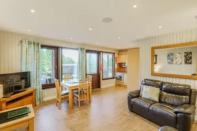 a living room with a couch and a table at Birch Lodge 16 in Newton Stewart
