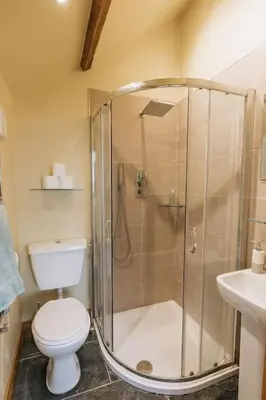 a bathroom with a shower and a toilet and a sink at ELM HOUSE BARN - Converted One Bed Barn at the gateway to the Lake District National Park in High Hesket