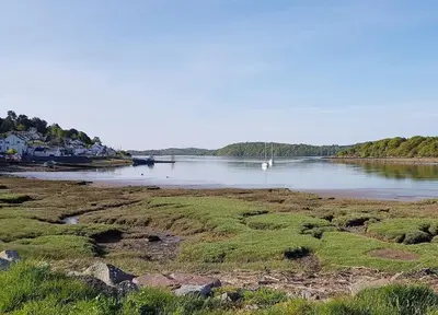 a large body of water with boats in it at Birchlea in Kippford