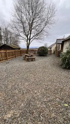 a picnic table and a tree in a yard at Wrens nest in Newton Stewart