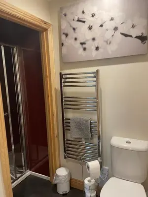a bathroom with a toilet and a painting on the wall at Wrens nest in Newton Stewart