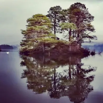 a group of trees on an island in the water at The Hayloft. Entire Barn Conversion near Keswick in Applethwaite
