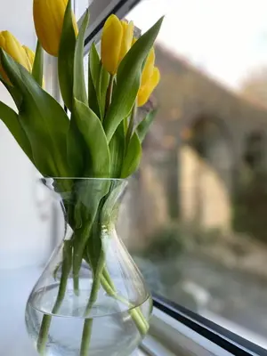 a vase filled with yellow flowers in a window at The Apartment, Bridge House in Laxey