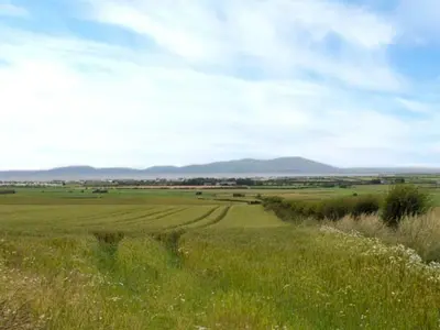 a field of grass with mountains in the background at Gulls Hatch in Maryport