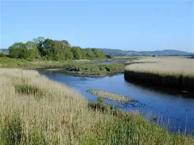 a river in the middle of a field at Glenauld Cottage in Kirkcudbright