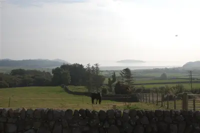 a horse standing in a field next to a fence at Collin Hill House in Castle Douglas