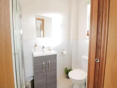 a bathroom with a toilet and a sink and a mirror at Millbrook Cottage in Dalbeattie