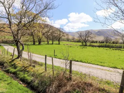 a winding road through a field with trees and grass at Whiteside in Cockermouth